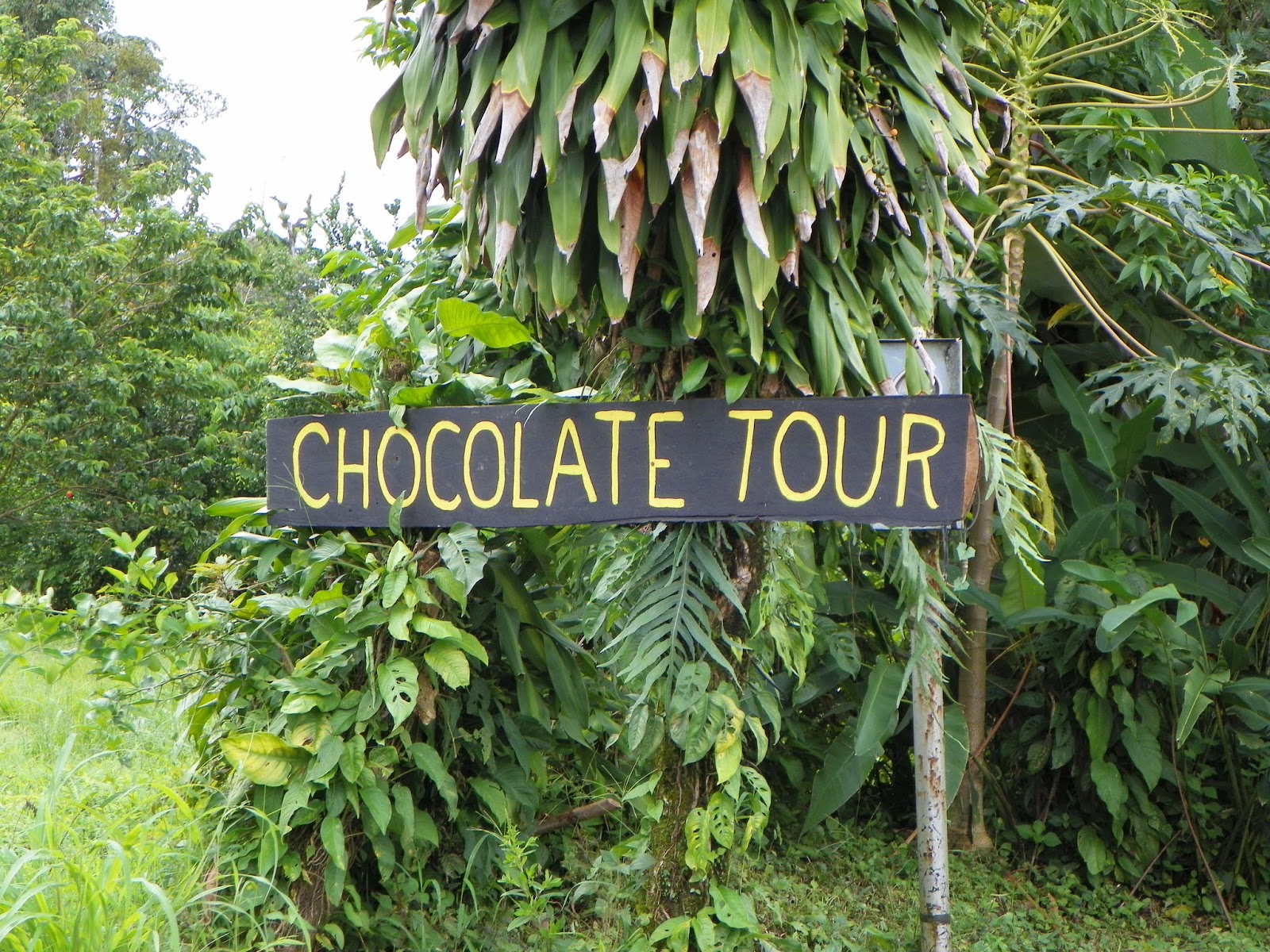 NOMADIC CHEF: Costa Rica Study Abroad Day 18- Don Juan Eco Farm