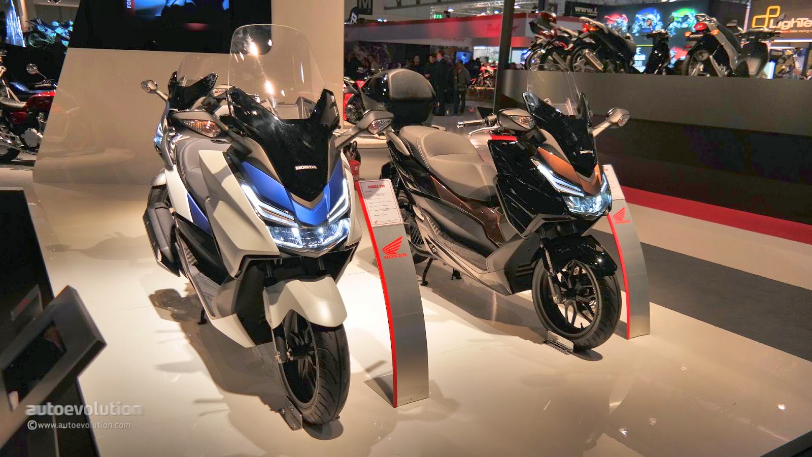 Honda Forza Tuning