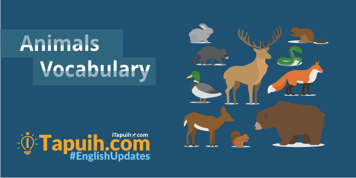 Materi Lengkap Vocabulary : Animals