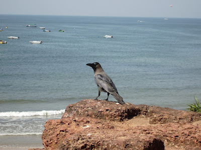 Popular Beaches in Goa