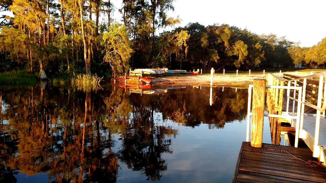 QuiltinCats Moving South (Zolfo Springs, FL)