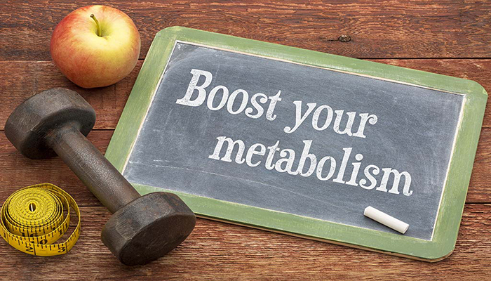 Diet to increase your metabolism