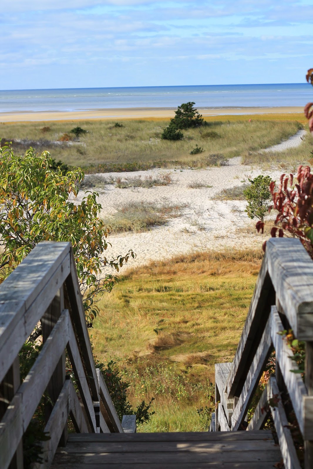 mitcheci photos Cape Cod Brewster Natural History Museum