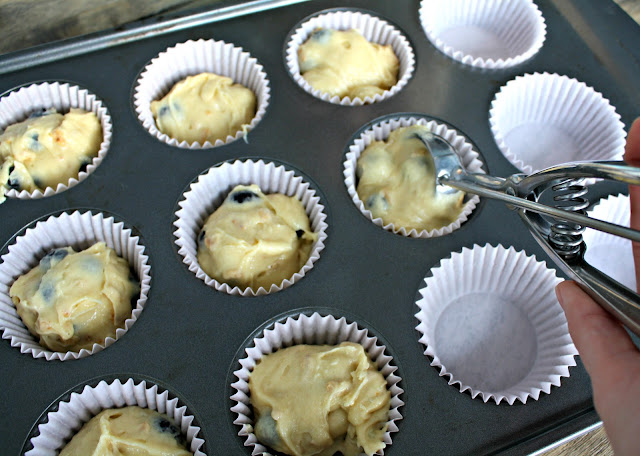 Blueberry muffins in a pan