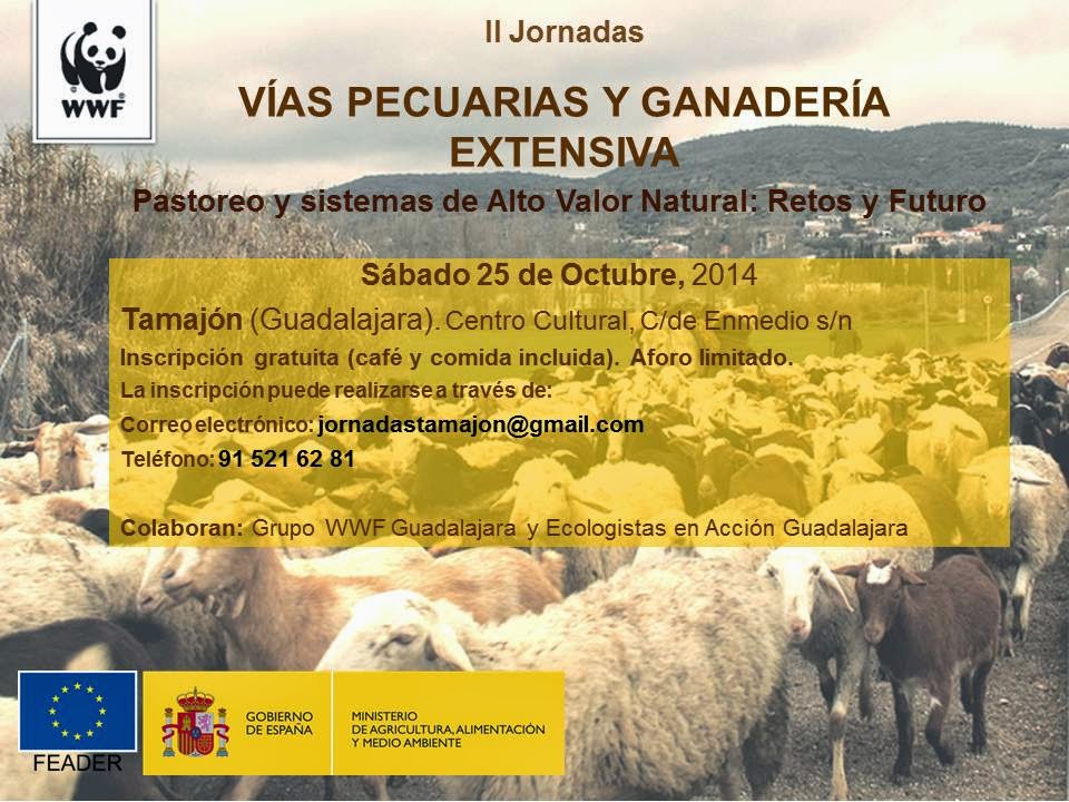 II Jornadas sobre Vías Pecuarias de Guadalajara en Tamajón