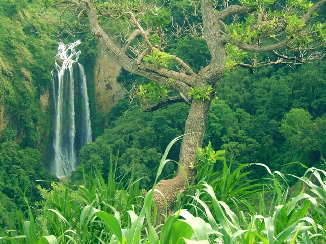 air terjun tama'lulua, wisata, travel, traveling, wisata alam, wisata unik, wisata murah, waterfall, air terjun, curug, trip, alam indonesia