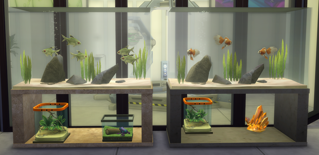 My Sims 4 Blog Fish Tanks and Sea Urchins by TheShed