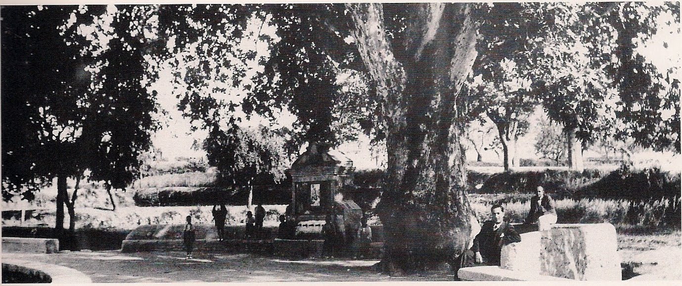 APIARIUM *Callejero de Biarrecorrido fotográfico (XI) Paseo del Plátano.