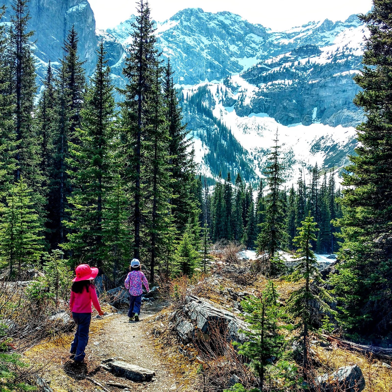 Mount Black Prince Cirque Trail (aka Warspite Lake) Play Outside Guide