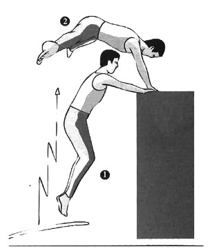 Gerakan Salto Ada Dua Macam Yaitu Salto Berjongkok Dan Salto Cara Golden Gerakan Salto Ada Dua Macam Yaitu Salto Berjongkok Dan Salto Cara Golden