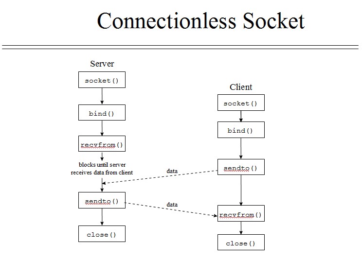 WUTesi: 十一月 2012