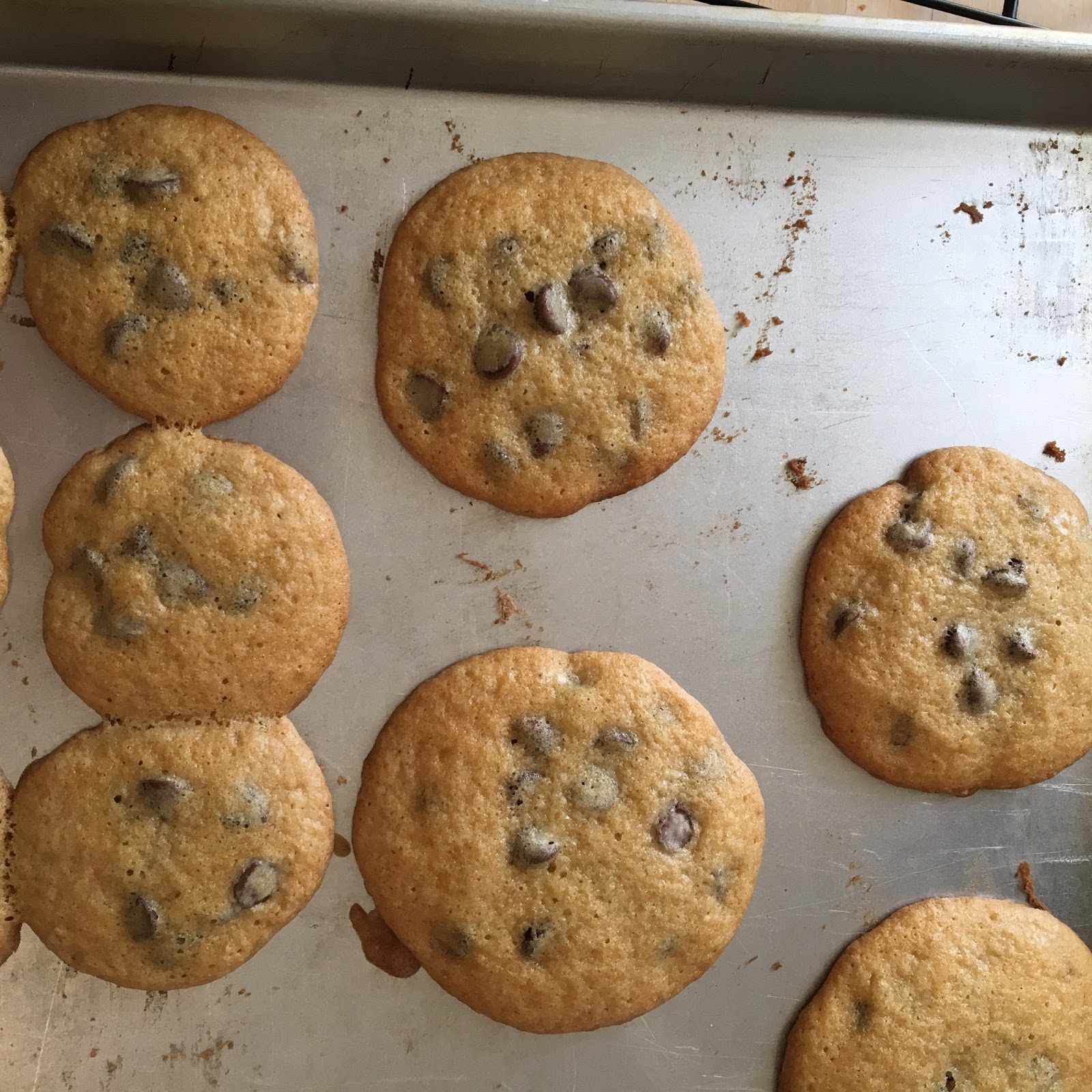 Robert's Random Writings Betty Crocker's Chocolate Chip Cookies (circa
