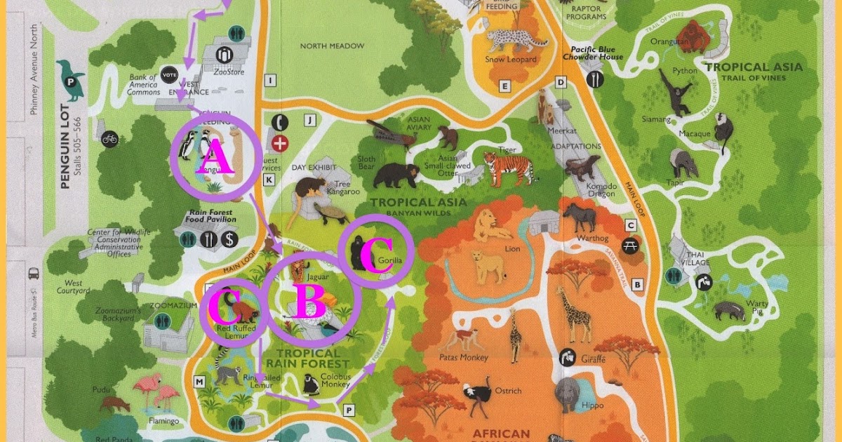 randuwa Spring Break Redux The Woodland Park Zoo, part 3 of 9