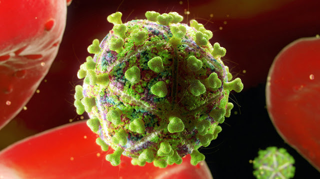 Virus HIV