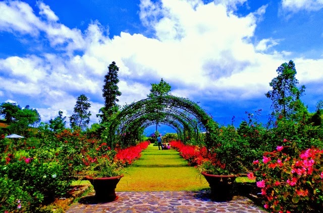 Kebun Mawar Situhapa Garut
