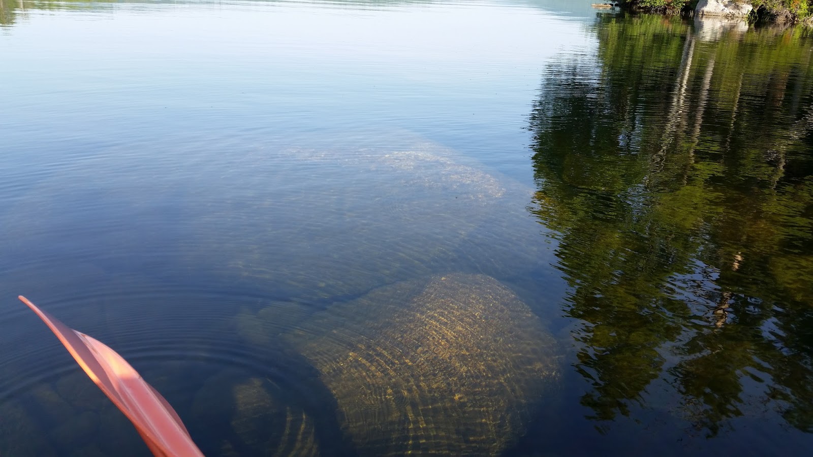 Recreational Kayaking in Maine Peabody Pond, Sebago/Bridgton, Maine