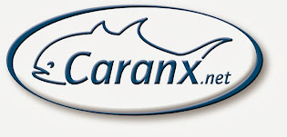 CARANX