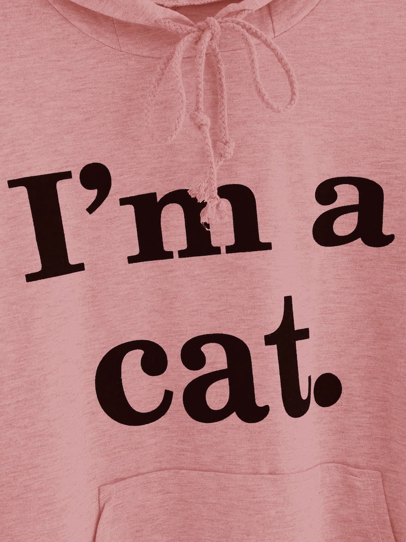 I'm a cat hoodie