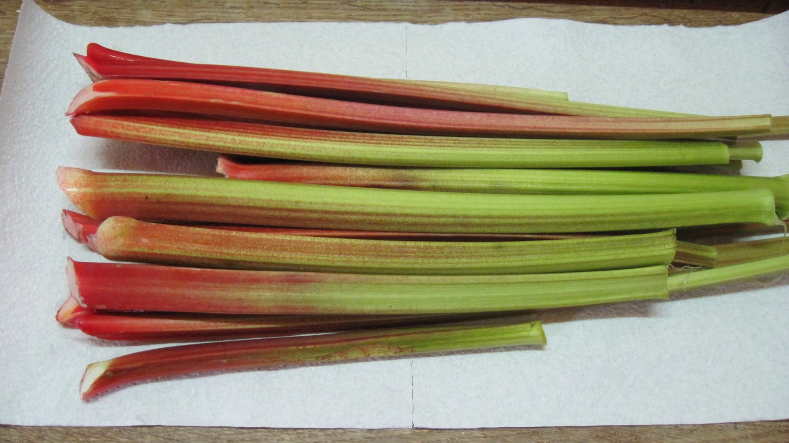 Ревень описание растения. Ревень какое ударение. Ревень черешковый компотный. Ревень ударение. Ревень и щавель.