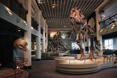 museum of science discovery center in Academy of Natural Sciences (from Drexel University), Philadelphia