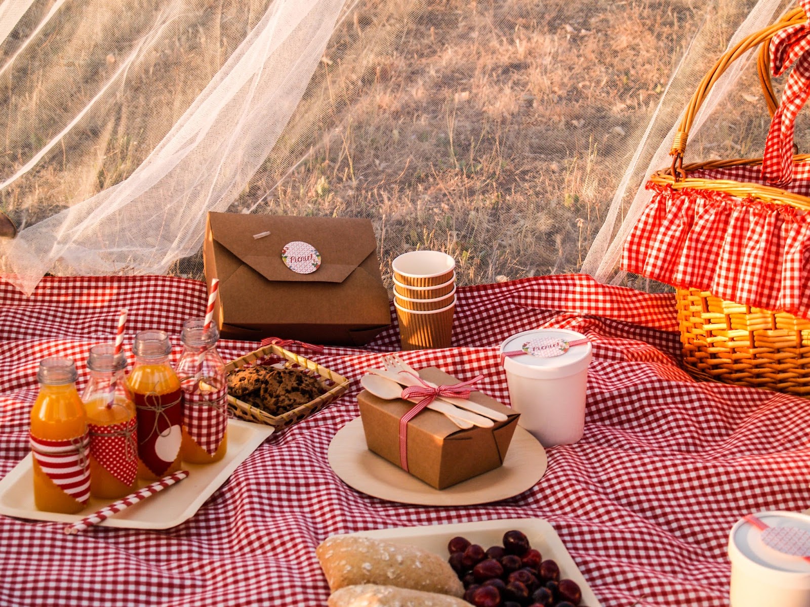 Kit de Picnic ¡Sorteo! Blog Cocottó