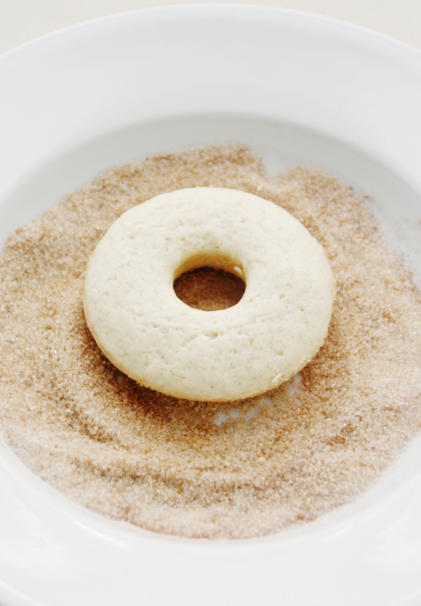 Cinnamon Spice Donuts Gluten Free B.A.S Blog