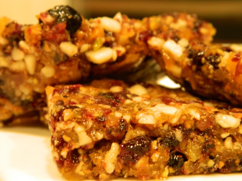 Primal Bites No Bake Fruit & Nut Bars