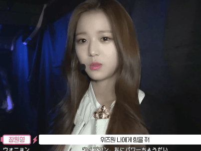 에너지캠 김민주 안유진 강혜원 장원영 권은비