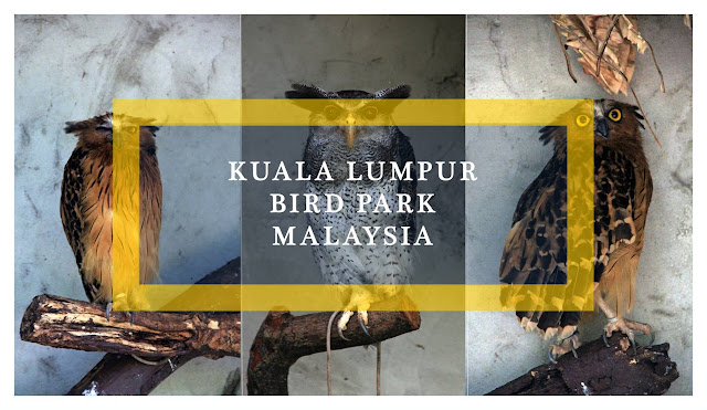Malaysia: Kuala Lumpur Bird Park | Ramble and Wander