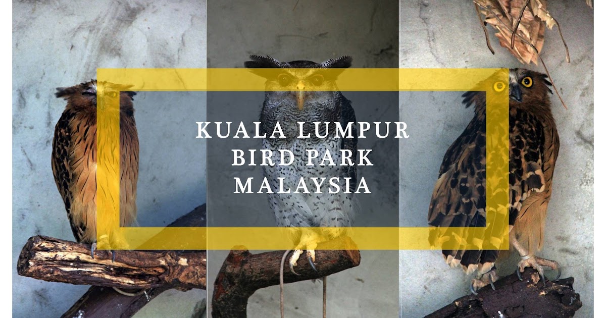 Malaysia Kuala Lumpur Bird Park  Ramble and Wander