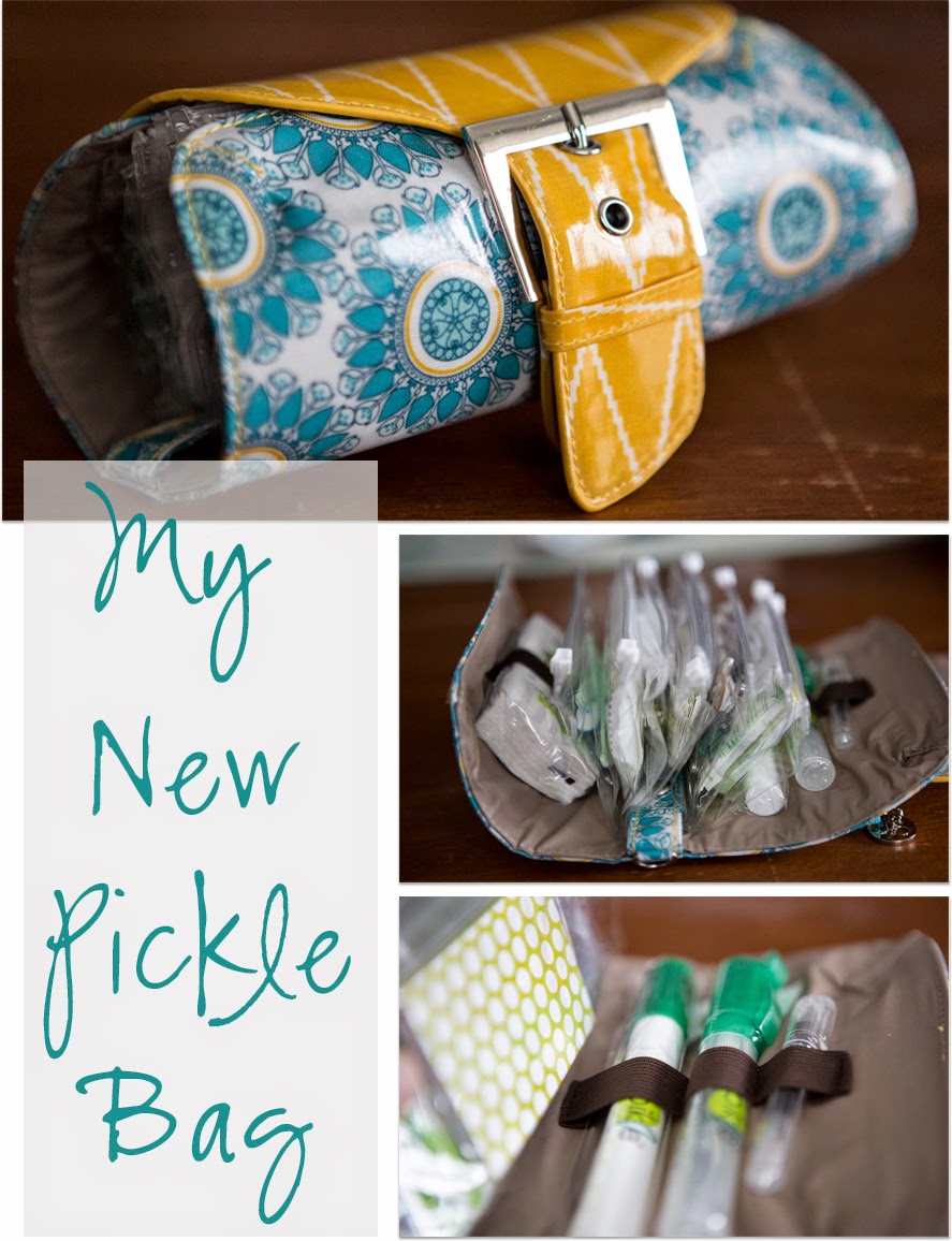 The Traveling Palace Pickle bag knock