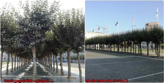 SFO Civic Center Plaza 