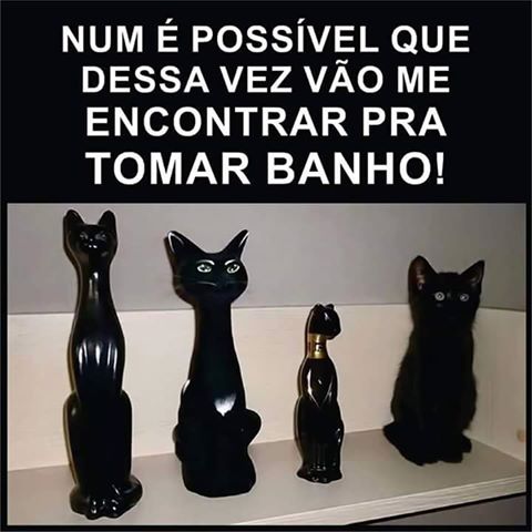 12734038_1285951391420987_79961121791631