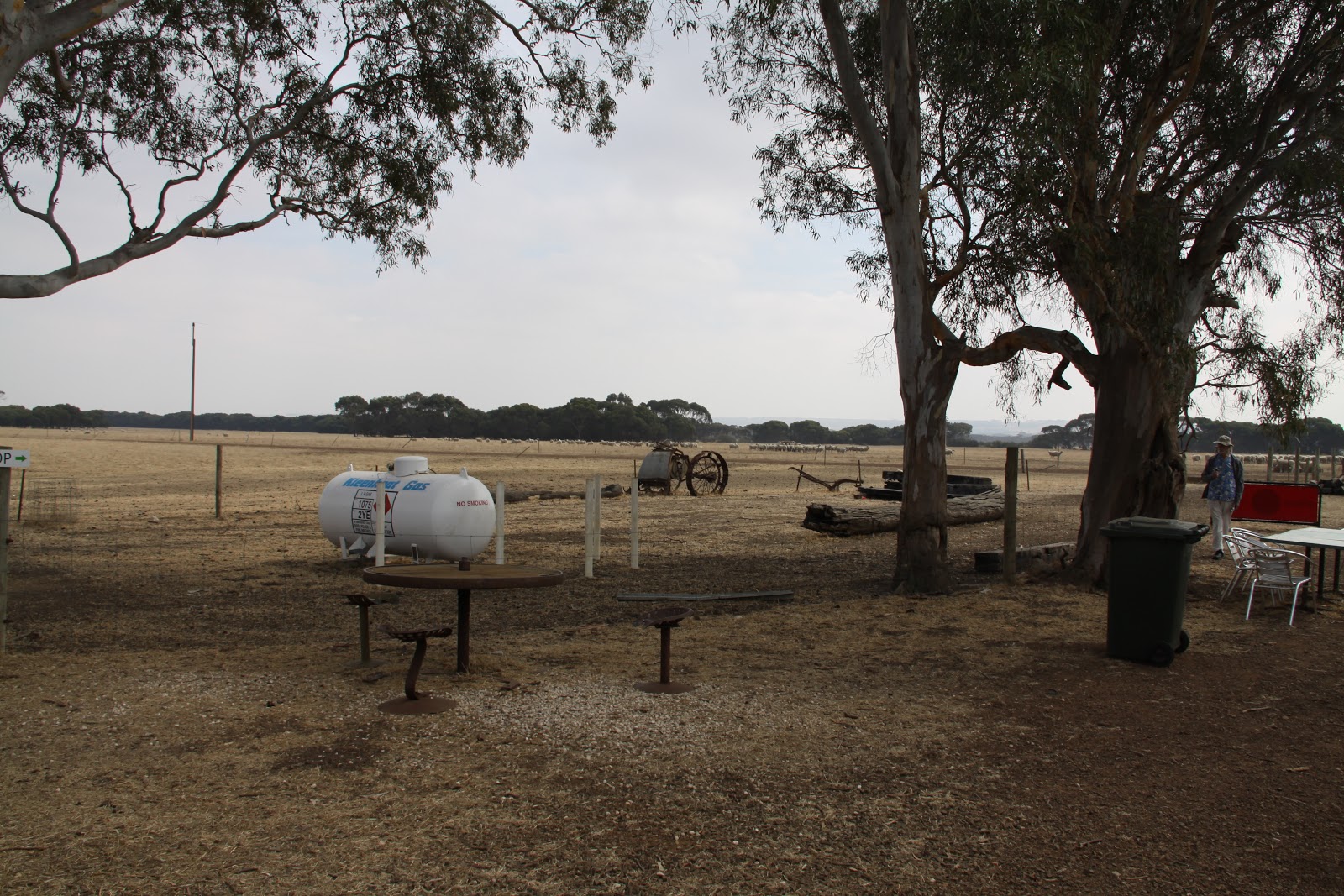 World Cruise 2013 Day 47 Penneshaw, Kangaroo Island