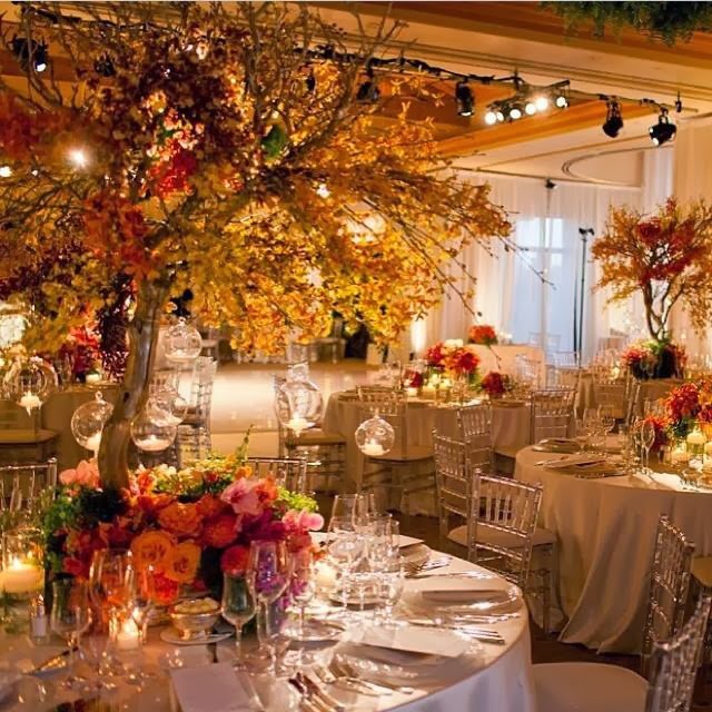 Planning a Wedding: For love of the outdoors, gardens and nature- Decor ...