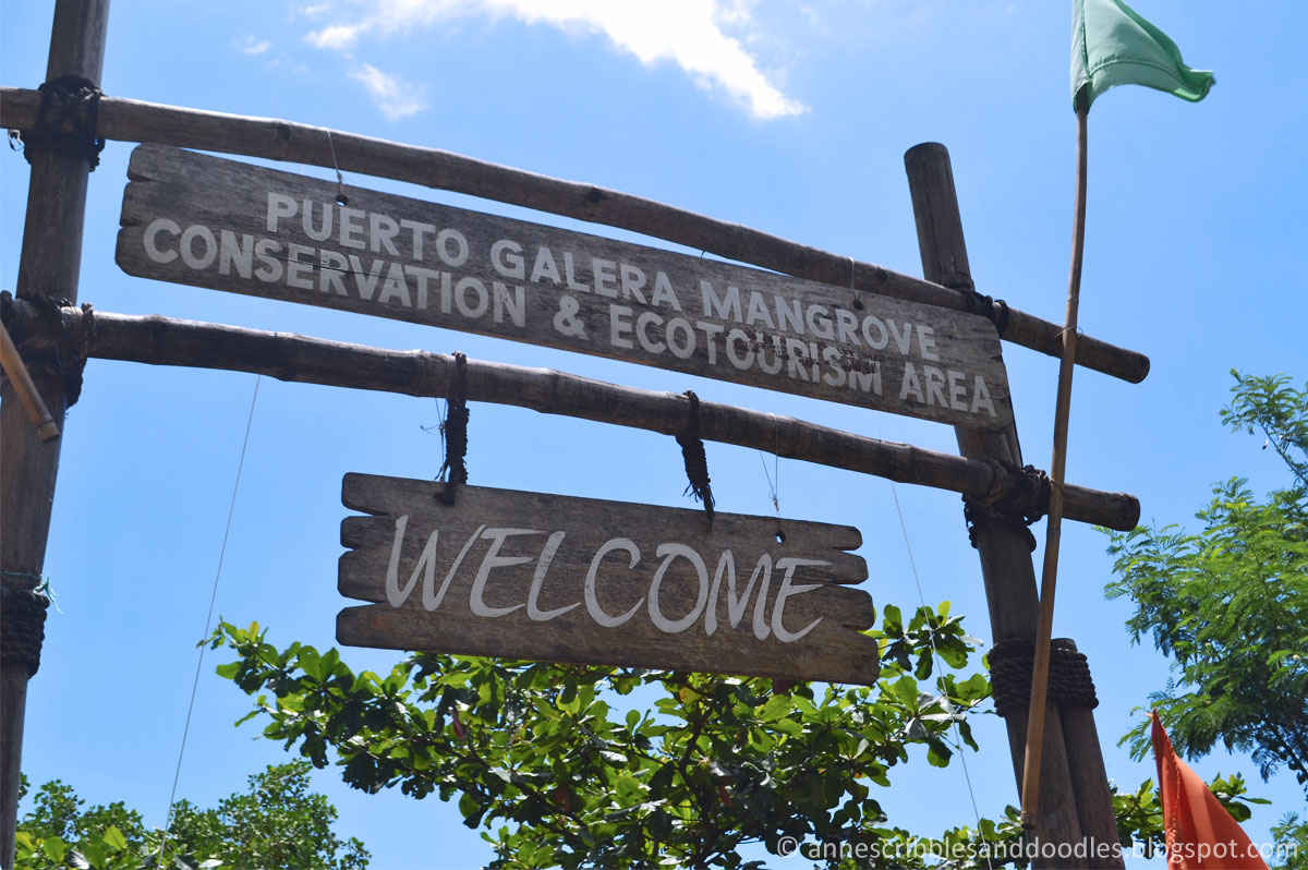 Puerto Galera Mangrove Conservation and Ecotourism Area | Anne's Scribbles and Doodles