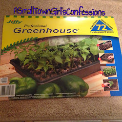 jiffy professional confessions town easy