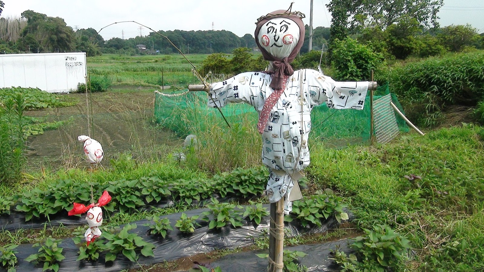 かかし完成☆