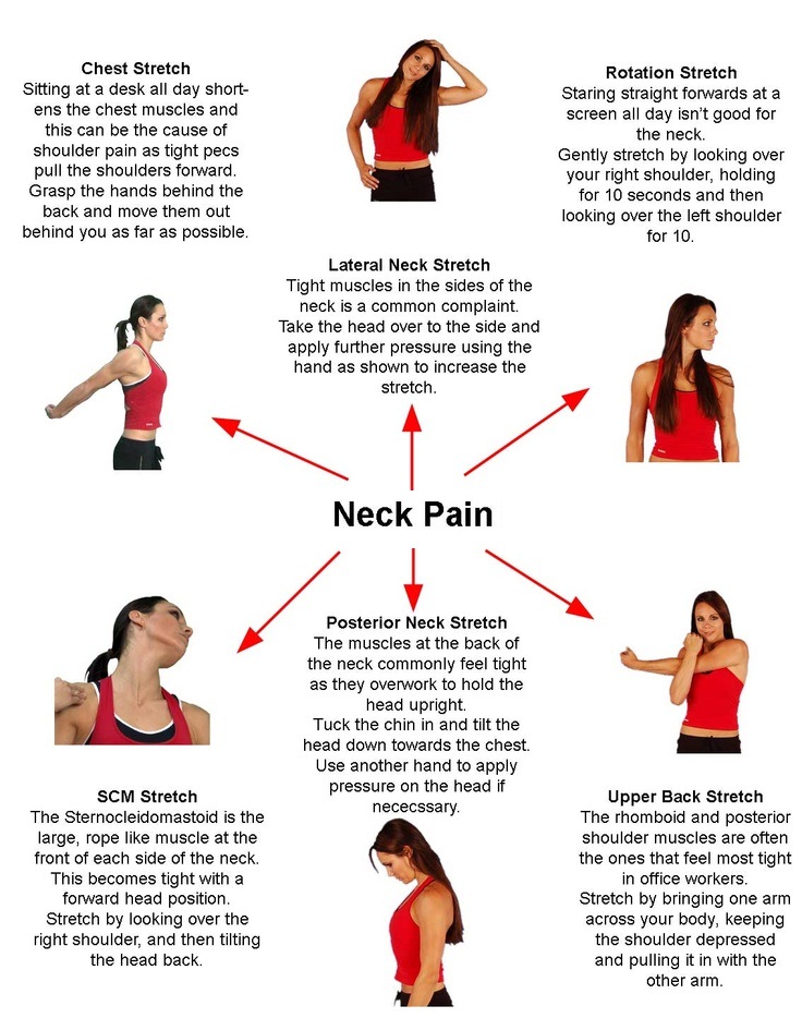 Printable Neck Stretches For The First Stretch Lower Your Chin To Your