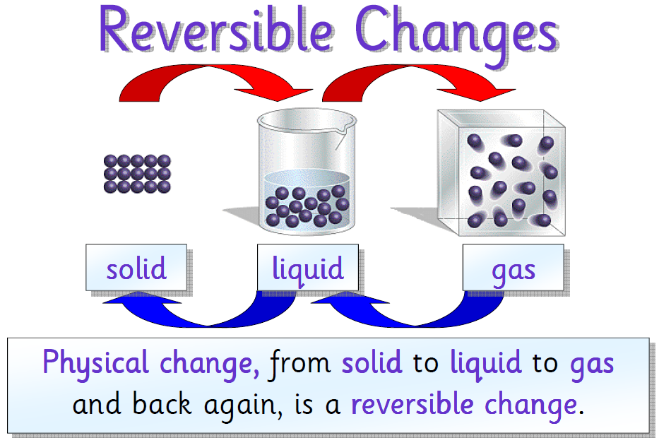 Anatomy And Physiology Study Guide Reversible And Irreversible Changes