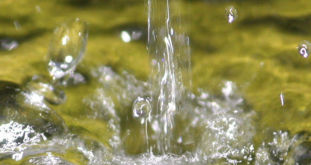 "Summer Splash" water detail image by LeAnn B., fountain at home garden for linenandlavender.net - http://www.linenandlavender.net/2012/07/essential-oils-gifts-of-nature.html