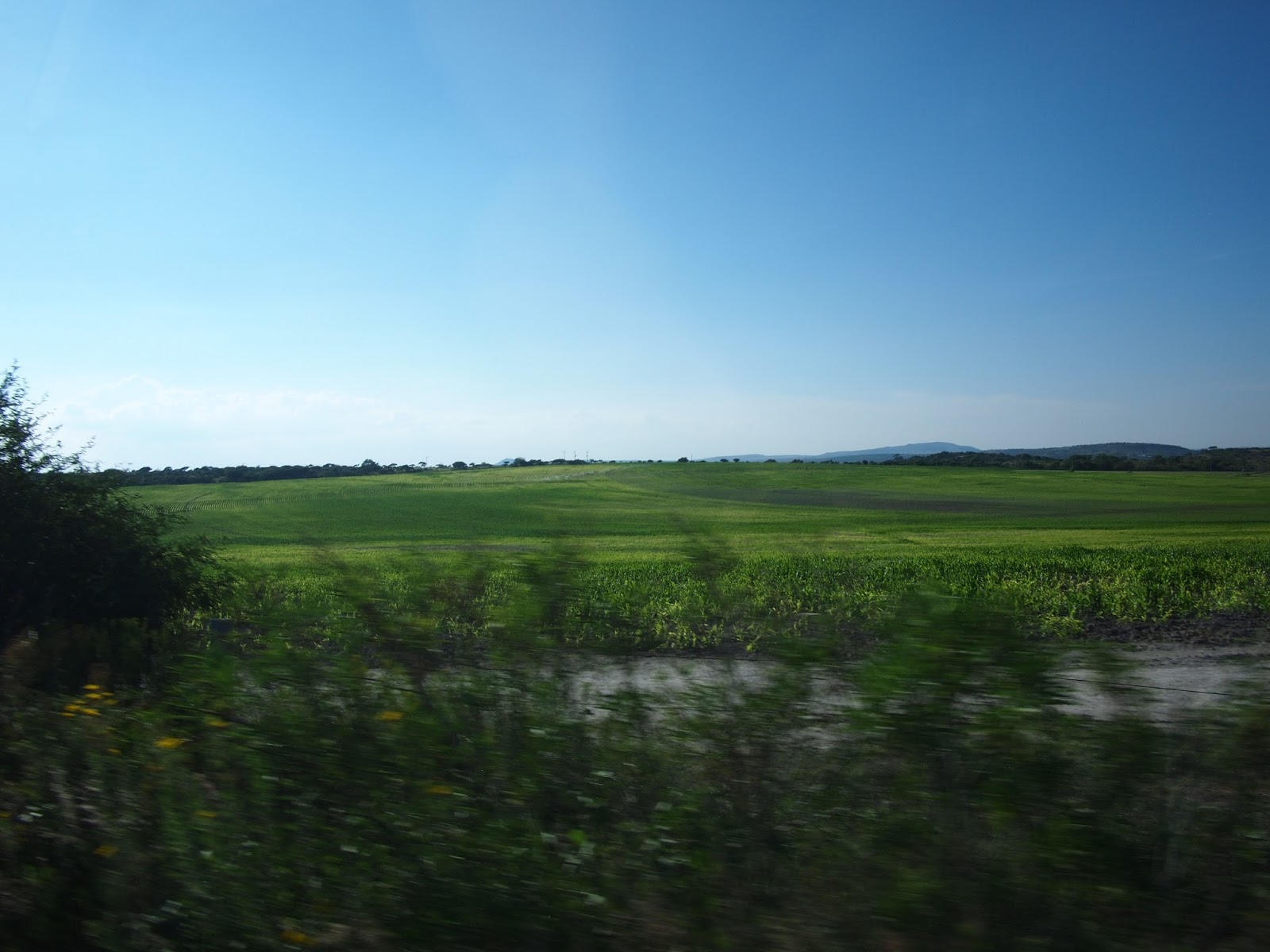 on going to Mexico de ir a México Land reform