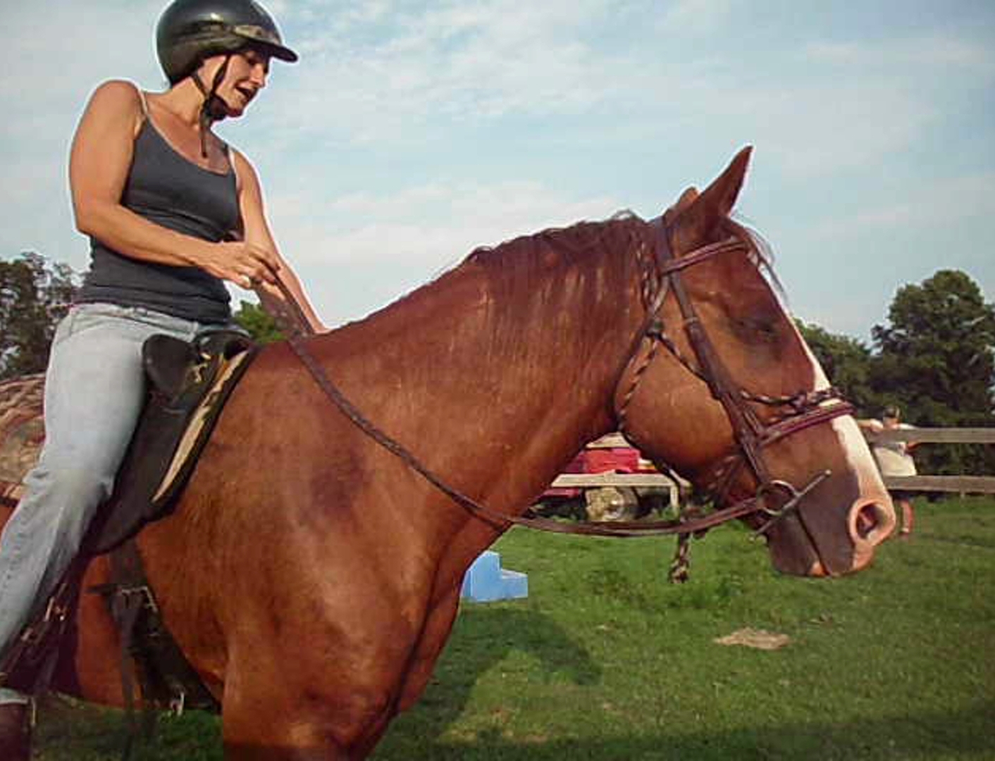 All About Horses In Training First Ride On Dallas