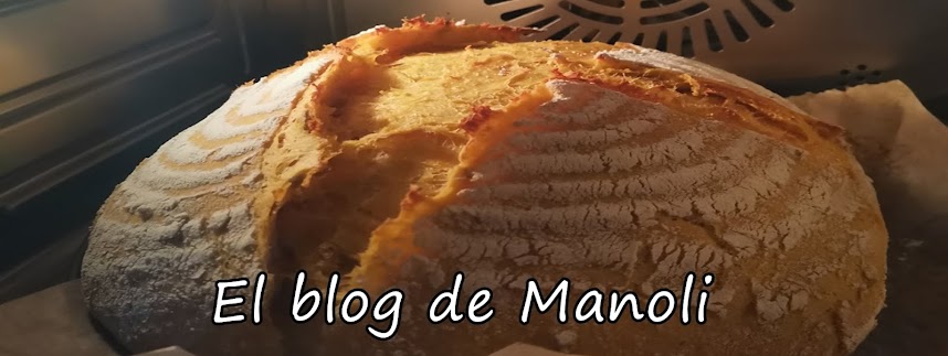 El blog de Manoli