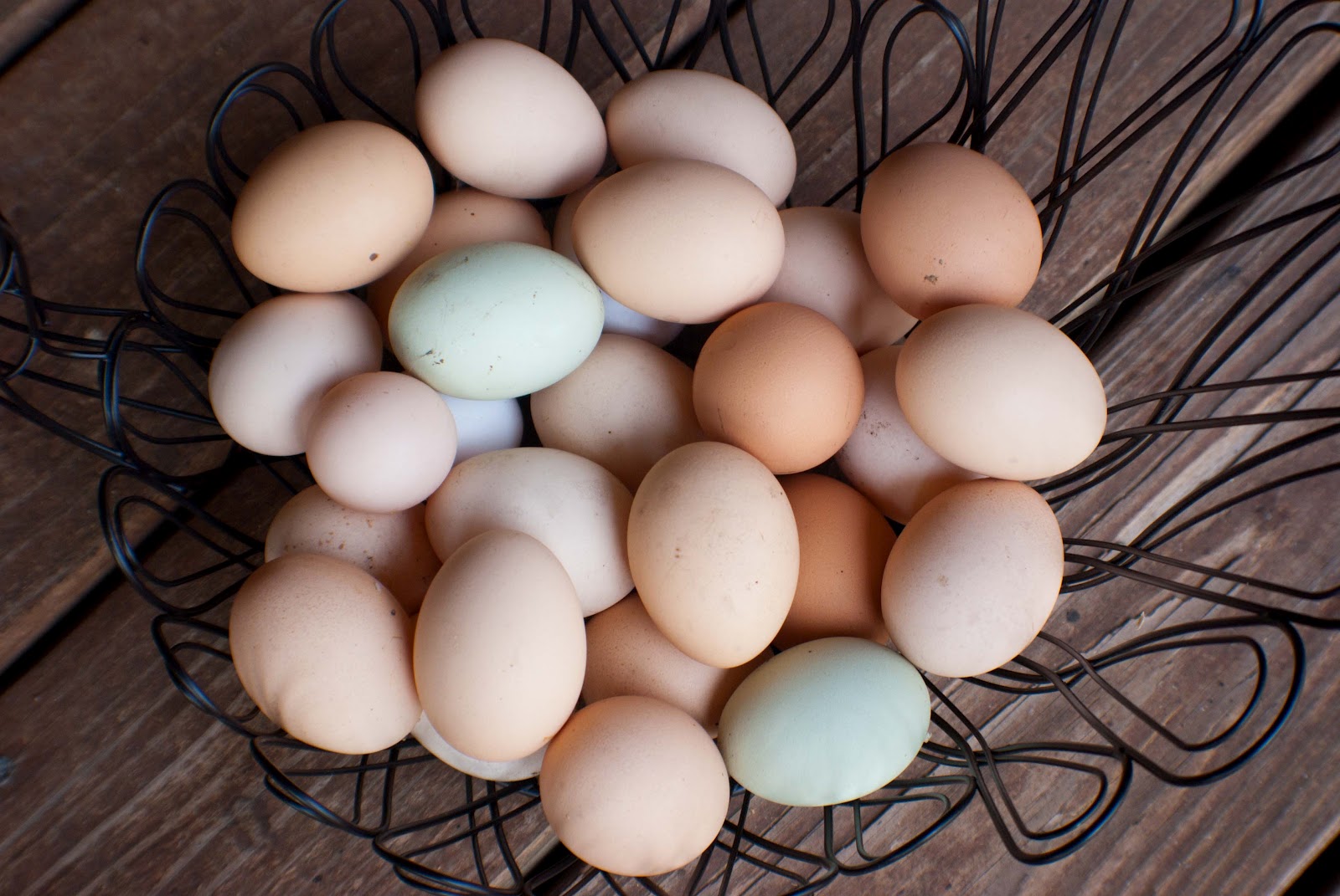 Archer's Acres Fresh Eggs For Sale