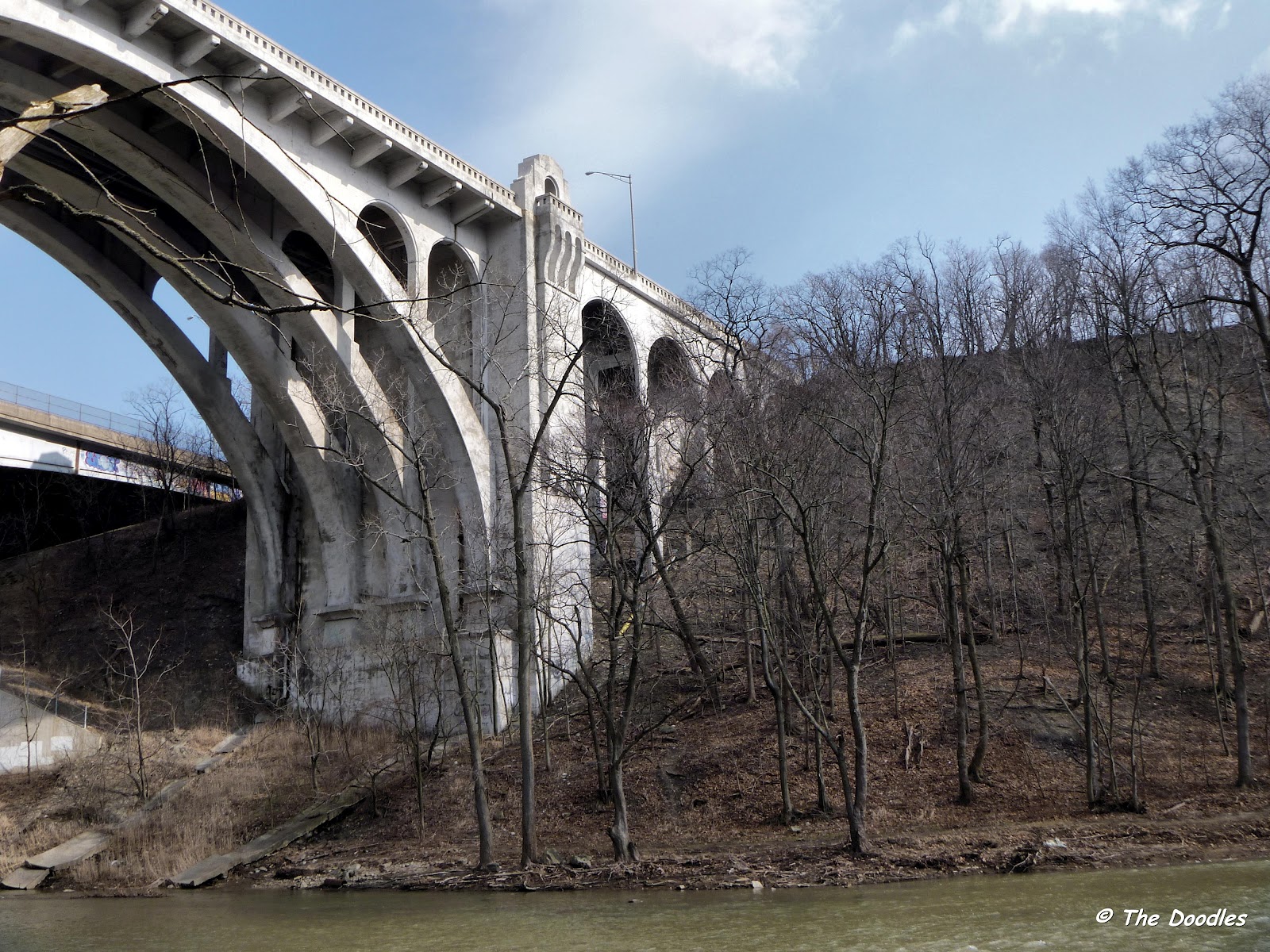 Birds from Behind More Rocky Shots From Rocky River...
