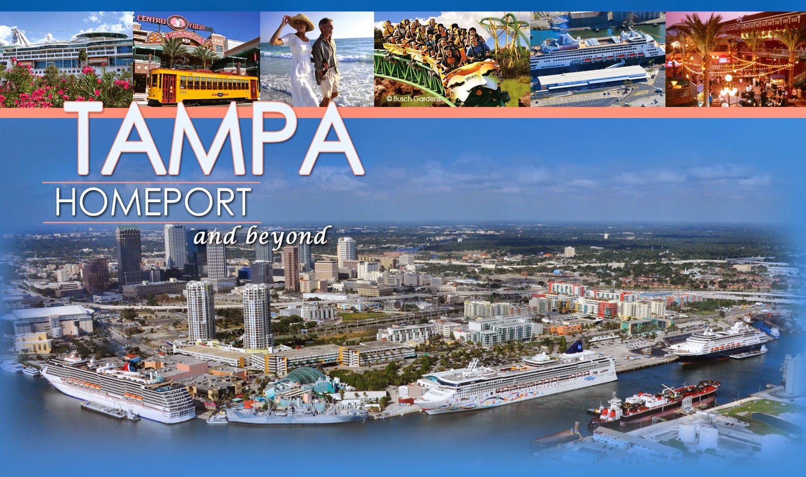 Florida Cruise Traveler - Navy: Cruise Ship Terminals: Port Miami
