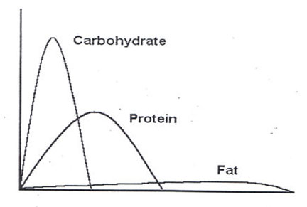 Chart+Blood+Glucose+Fat+Protein+Carbohydrate.jpg