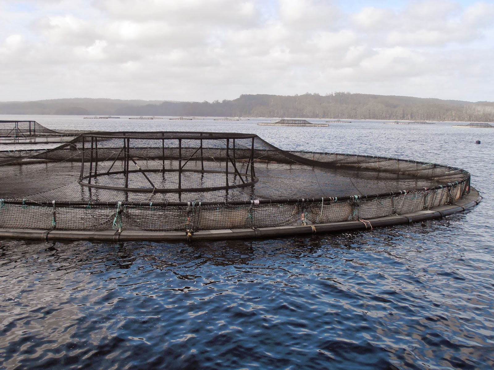 The Clarke's Aussie Adventure 31 October 2013 Strahan Holiday Park, Strahan, Tasmania