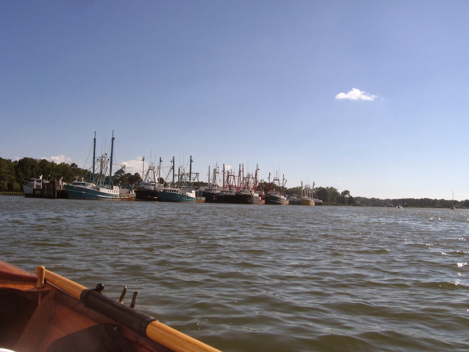 Blue Heron Northeaster Dory Back Creek Park, Seaford VA. (York Co)